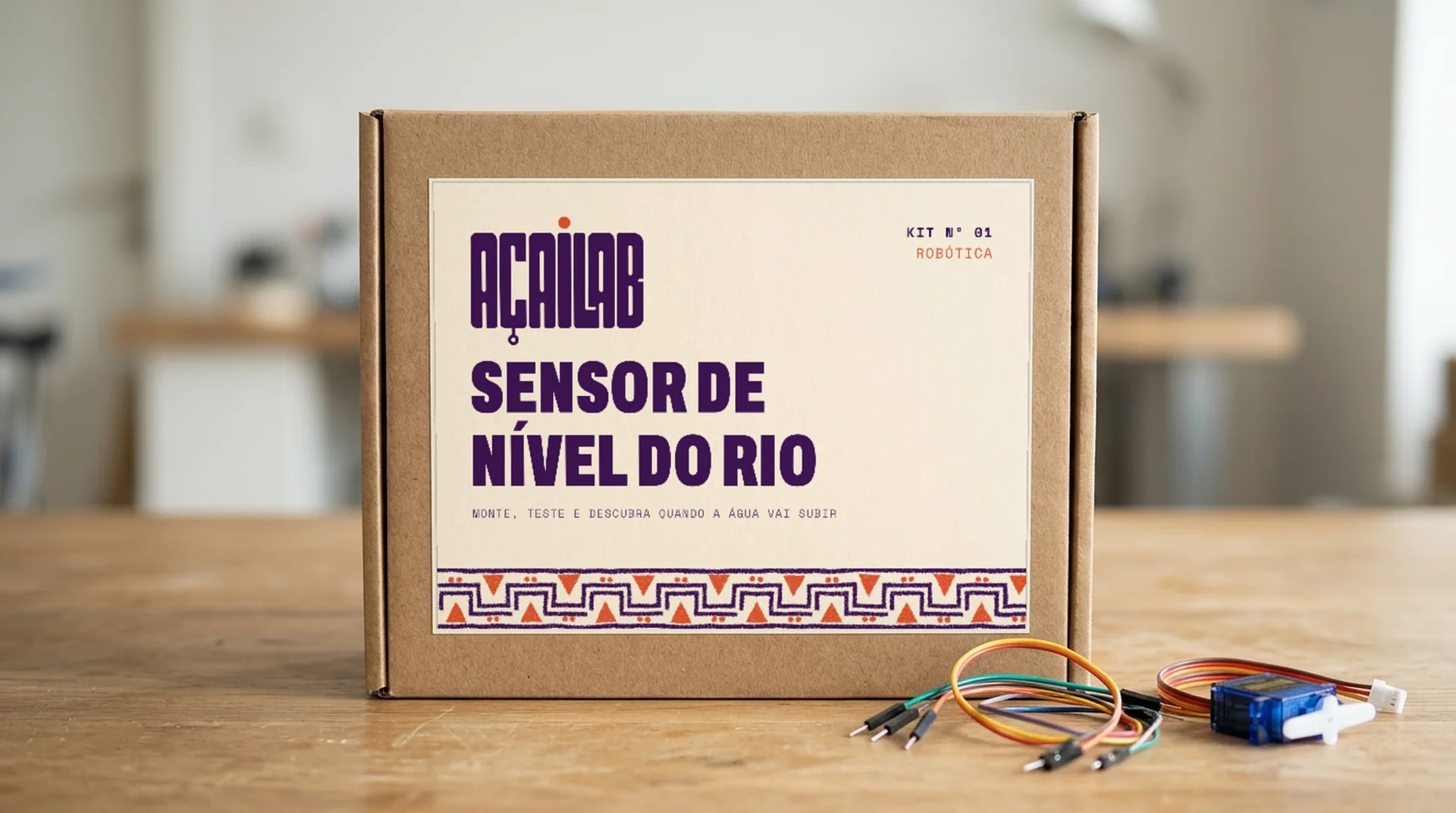 Caixa do kit com o logo